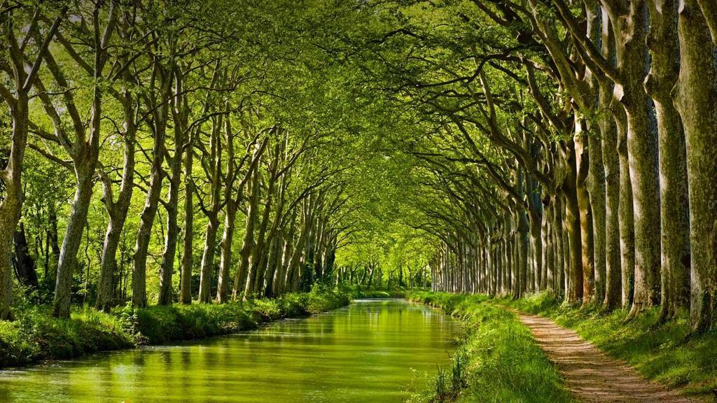 Gite La Chartreuse Du Canal Du Midi Toulouse Bagian luar foto